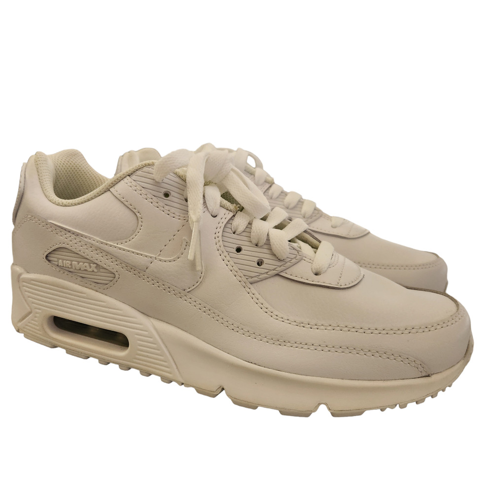 Nike Air Max 90 LTR (Big Kid) training shoe size 6.5Y